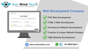 Web Development Company in Delhi 